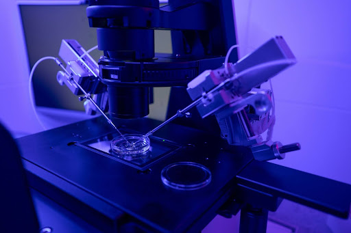 Fertilização in Vitro: Tudo o que você precisa saber sobre o tratamento